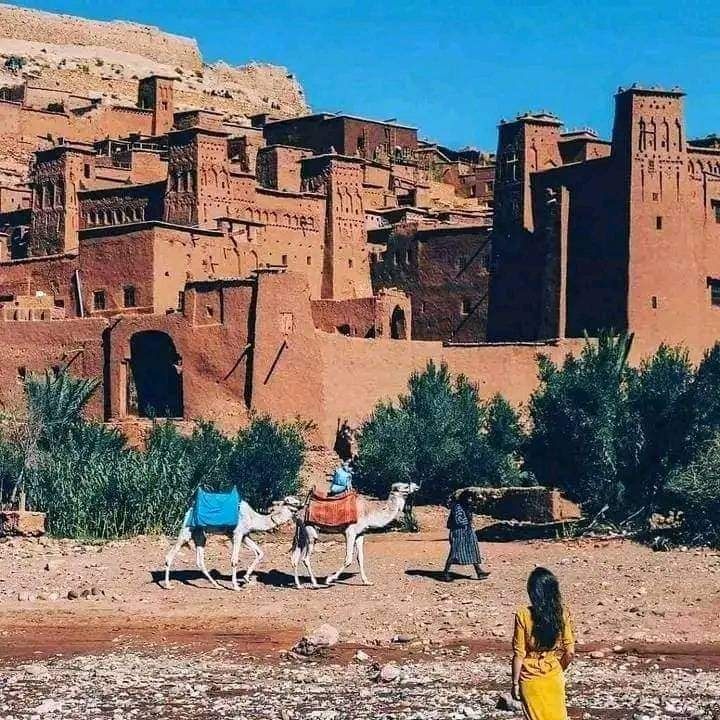 Kasbah d'Aït Ben Haddou avec chameaux
